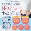 【生きた乳酸菌 酪酸菌 贅沢配合】 ビフィラル 乳酸菌 ビフィズス菌 酪酸菌 サプリ 4.5兆個 30日分
