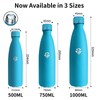 Grsta Thermos Flask, 750 ml Stainless Steel Drinking Bottle, BPA-Free,
