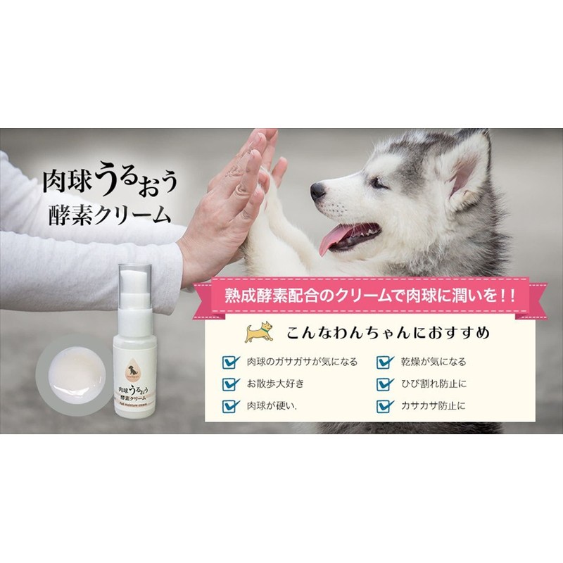 Japan Biological Science Laboratory Cream Others White Dog 30g