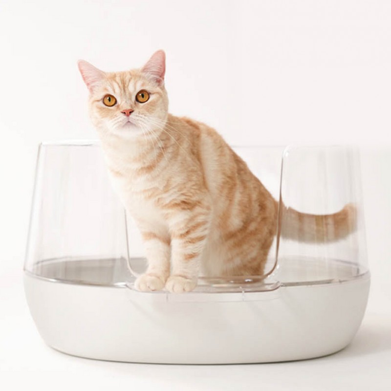 Fitpet, NyangSam, Cat, Litter Box, Transparent Litter Box, Transparent, White
