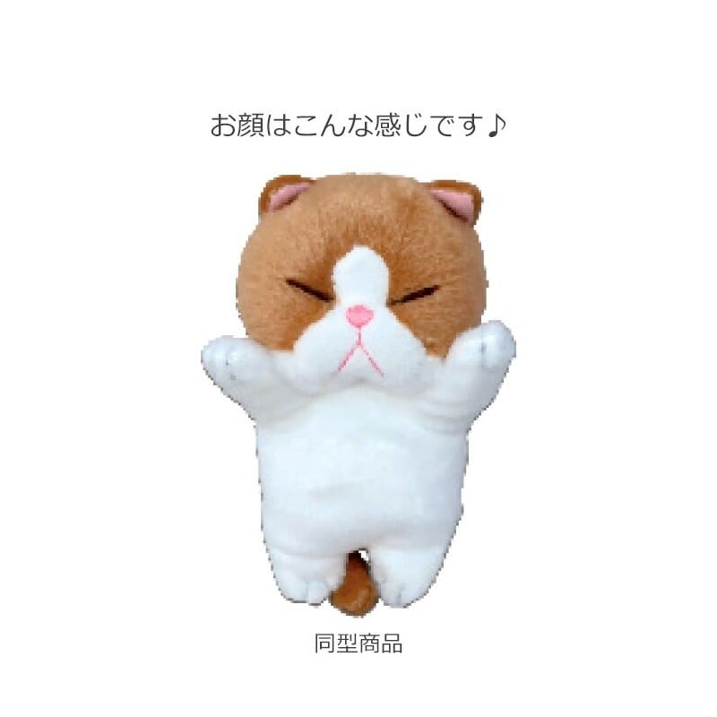 Naito Design Laboratory, Bou Like a Cat