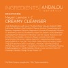 Andalou Naturals Andalou Naturals Brightening Meyer Lemon + C Creamy