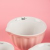 Sass & Belle Retro Pastel Measuring Cups - Set of