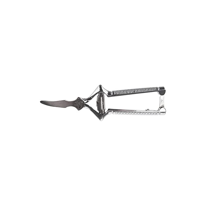 Vittori – Masticateur Nahrungszerkleinerer Chrom SCAT
