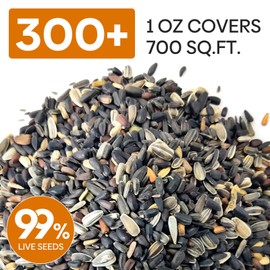 Groundio Sunflower Seeds for Planting, 15+ Varieties, 1 Oz, 300+ Mixed Seeds to Plant Colored Sunflower for Outdoors, Garden, Attracts Pollinators