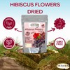 Natural Hibiscus Flower Tea Dried Egyptian Herbal Caffeine Free Aswani