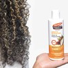 Palmer's Cocoa Butter & Biotin Length Retention Leave-In Conditioner, 8.5