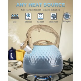 Tea Kettle, Loud Whistle Tea Kettles for Stovetop,Food Grade Stainless Steel Tea kettles for Stove Top with Anti-hot Ergonomic Handlefor Tea, Coffee, Milk,2.5QT