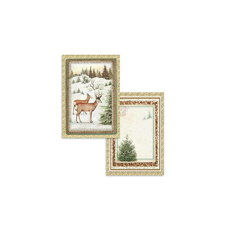 Stamperia Winter Botanic Scrapbooking Cards sbbpc06