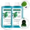 클로란 [각질케어&두피쿨링] 아쿠아민트 딥클렌징 쿨링 샴푸 400ml 2개 + 문어