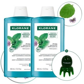 클로란 [각질케어&두피쿨링] 아쿠아민트 딥클렌징 쿨링 샴푸 400ml 2개 + 문어 괄사 증정 [Aging Care & Scalp Cooling] Aqua Mint Deep Cleansing Cooling Shampoo 400ml 2pcs + Free Octopus Gua Sha