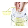 Grow Your Pantry Fermentation Weights: 4 Pack of 6-oz Glass