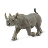 Black Rhino