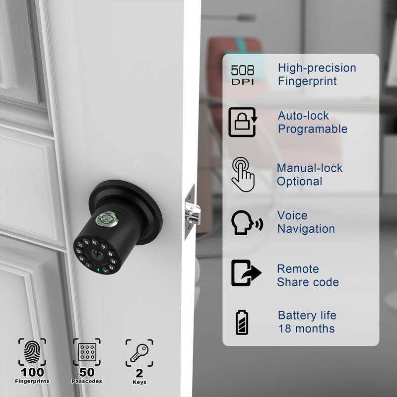 iuknob Fingerprint Door Knob with Keypad and Key, Smart Biometric