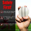 TrySalar Soft Cricket Rubber Ball Indoor Outdoor Junior Youth Adult