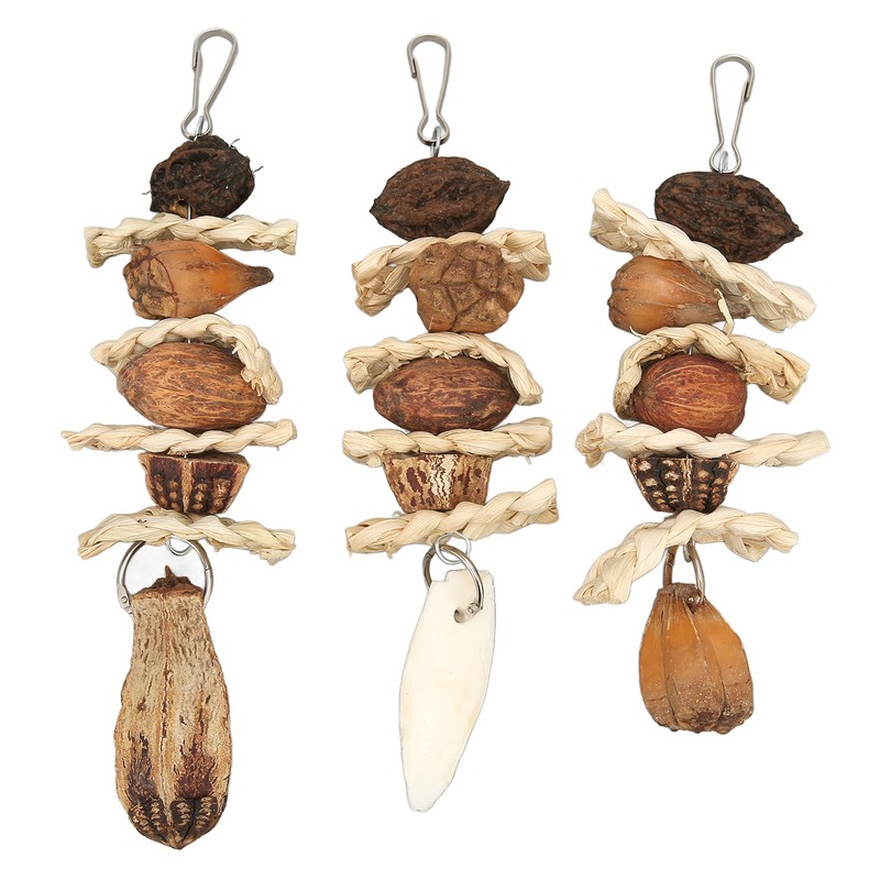 Parakeet Beak Stone Parrots Trimming Chew Toys Set Bird Nuts