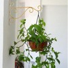 Hanging Plant Bracket 9.8inch, Gold Plant Hooks Plant Hanger Bracket