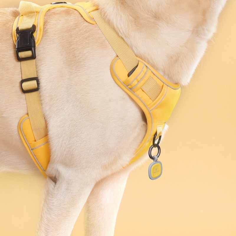 Pawaii Silent Silicone Dog ID Tag, Modifiable Pet Online Profile