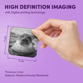 1 x Square MDF Fridge Magnet - Sleepy Seal Ocean Marine 36437