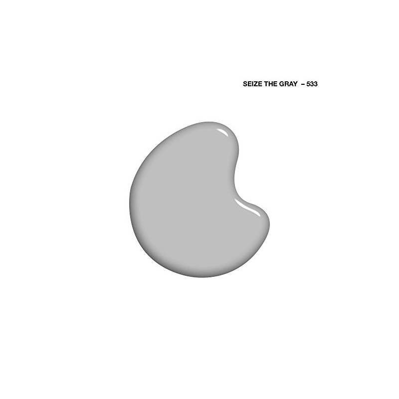 Sally Hansen Insta Driseize The Gray .31z