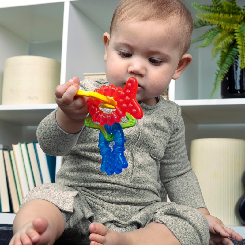 Baby Einstein Pack 2 Mordedores para Bebé 3 Meses Animalitos