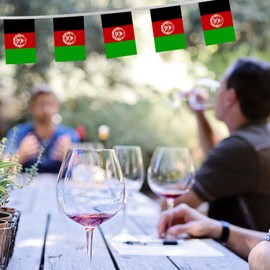 32FT Small Afghanistan Pennant Flag Bunting,30 PCS Mini String Banner Stripes Afghan Afghanistani Decor Rectangle for Holiday Restaurant Home Party School
