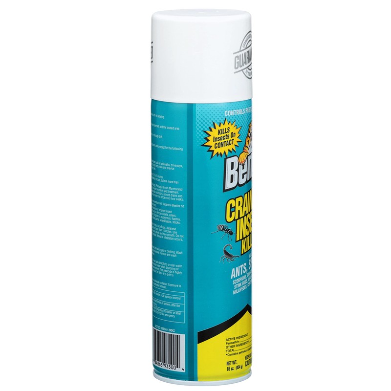 Bengal Crawling Insect Killer, Indoor and Outdoor Aerosol Ant and