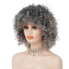 Grey Short Curly Wig for Black Women 70s 80s Afro