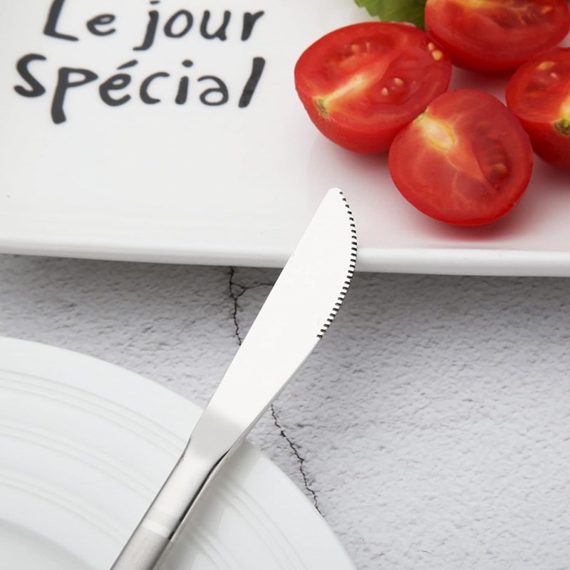 VANRA Small Dessert Knives Set of 6 Stainless Steel Kids