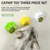 MIRKUZI Catnip Toys 3 Pack Catnip Balls,Cat Toy,360°Catnip Balls,Catnip Balls,Plant