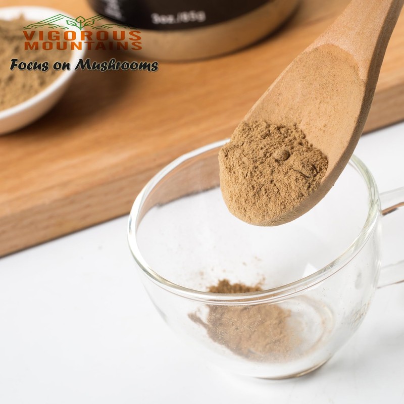 VIGOROUS MOUNTAINS Dried Porcini Mushroom Seasoning Powder for Cooking, Salt