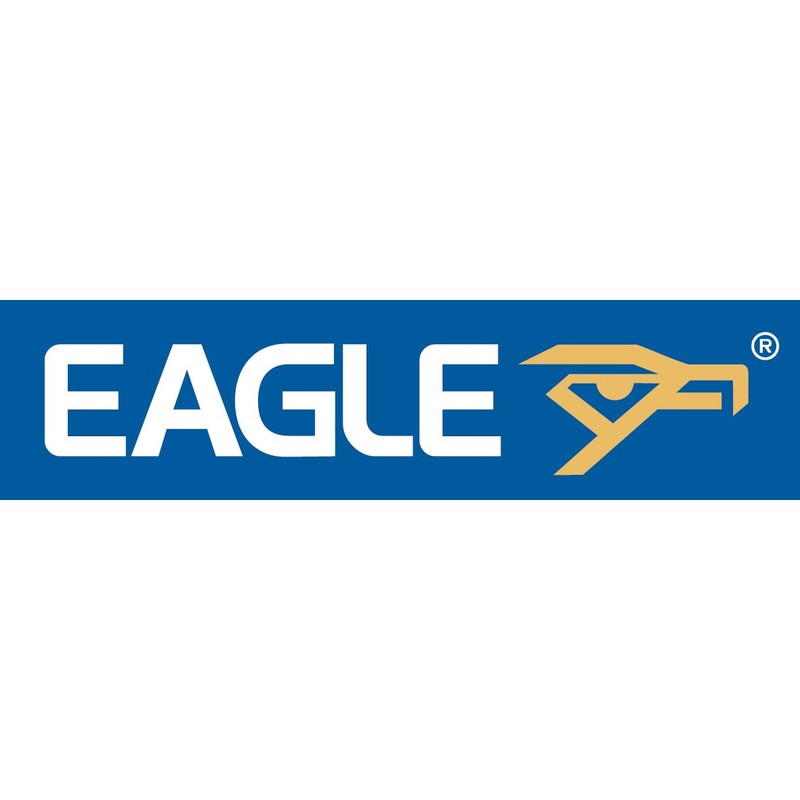 Eagle Dummy Dome Surveillance Camera