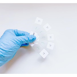 Cork Cells Prepared Microscope Slides, 5 Pack Cork Slides to Learn About Cell Structure Found in Plants