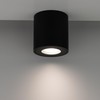 EDO Surface-Mounted Spotlight Clear Black IP44 Waterproof LED Ceiling Light