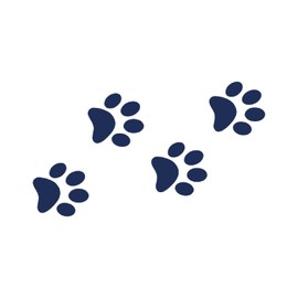 Tattwo.me Temporary Tattoos for Adults and Kids 2 Weeks Waterproof - Cat Paws - Vegetable Ink - EU Cosmetic Certificate - (P0687)