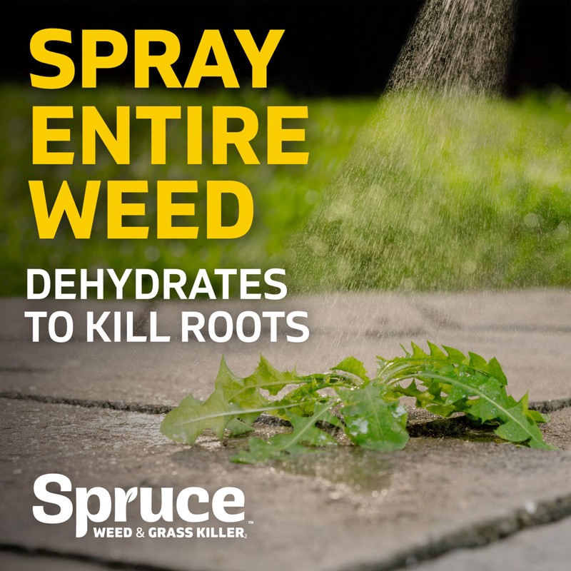 Spruce Weed Killer Refill - Versatile Weed & Grass Killer₃