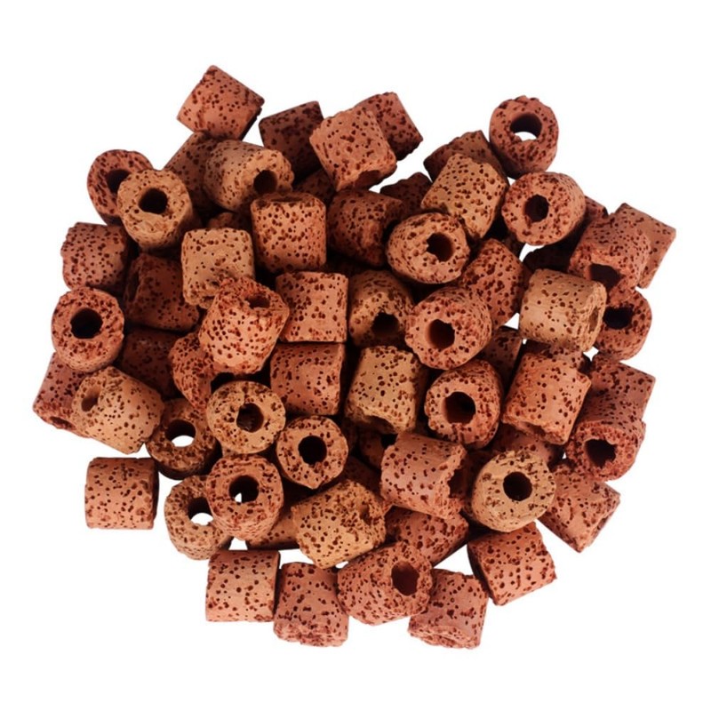 20 Pcs Aquatic Water Plant Fixed Rings, Aquarium Anchors Fish