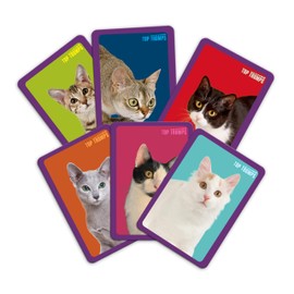 Top Trumps Match Game Cats - Family Board Games for Kids and Adults - Matching Game and Memory Game - Fun Two Player Kids Games - Memories and Learning, Board Games for Kids 4 and up