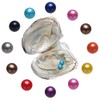 Twins Pearls Beads Freshwater Oysters with Pearl Inside Pearl Kit
