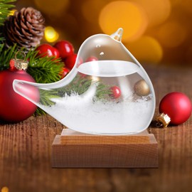 OUZHOU Storm Glass Weather Station, Storm Glass Weather Forecaster Bird Liquid Barometer With Base Weather Predictor, Weather Storm Glass Desktop Home Decor, Holiday Gifts For Men And Women(50mm)