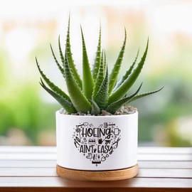 Myakako Thank You for Helping Me Grow Pots, Succulent Cactus Pot, White Ceramic Flower Pots, Funny Planters Pots, Indoor 3.5 inch Pots, Plant Not Included