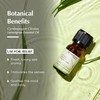 AROMAFUME Lemongrass Essential Oil - 100% Natural, Therapeutic Grade Essential