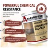 Americrete Efflorescence Blocker - Eco Friendly, Chemically Bonded Water Based