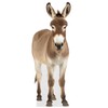 Donkey - Life Size Cardboard Cutout Standup People with Support