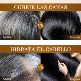 Shampoo Cubre Canas Tinte Instantáneo 3 en 1 Brillo Suavidad Natural Champú de Jengibre para Teñir el Cabello Unisex Esencia Herbal Sin Amoníaco 500 m