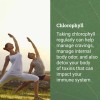 Liquid Chlorophyll Drops For Immune Support - Peppermint Flavor -