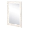Tanmicoshomy 24 x 36Inch Rectangle Wall Mirror, Natural Shell Framed