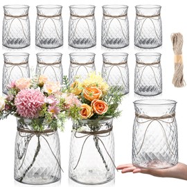 Bokon 12 Pcs Plastic Vases Bulk for Centerpieces Table, 6.3 in Bud Vases in Bulk, Mini Clear Planter for Flower with Rope Design and Plant Containers for Wedding Dinning Home Decoration (Clear)