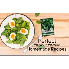 Bloomsdale Spinach Seeds for Planting is A Great Heirloom, Non-GMO Vegetable Variety- Great for Indoor, Outdoor and Hydroponics Gardening by Gardeners Basics