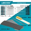 Libraton 31PCs Metal File Set, Metal Files, Metal Files for